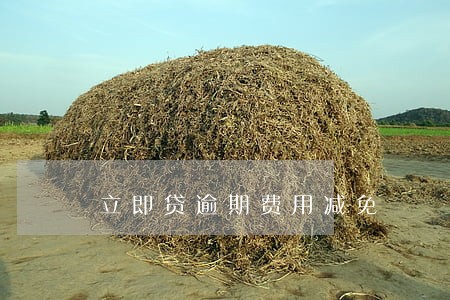 立即贷逾期费用减免 立即贷逾期费用减免