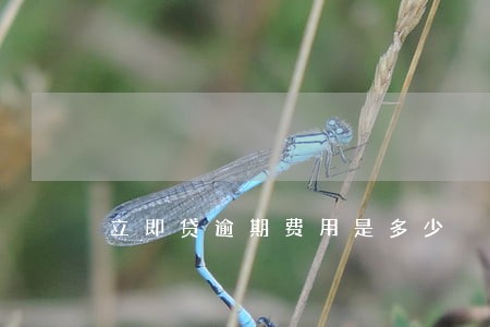 立即贷逾期费用是多少 立即贷逾期费用是多少
