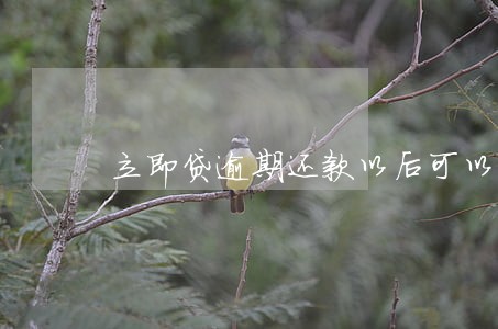 立即贷逾期还款以后可以再借款吗 立即贷逾期还款以后可以再借款吗