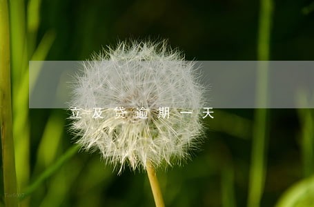 立及贷逾期一天 立及贷逾期一天