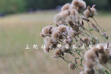 立地指示牌安装法规规范