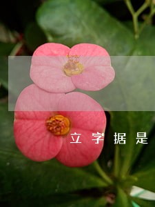 立字据是否能在法律面前生效 立字据是否能在法律面前生效