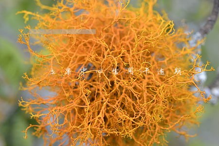 立案中心信用卡逾期 立案中心信用卡逾期