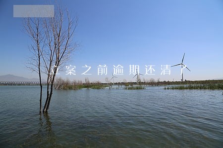 立案之前逾期还清了 立案之前逾期还清了