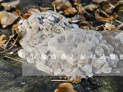 立案侦查2起司法腐败案 立案侦查2起司法腐败案
