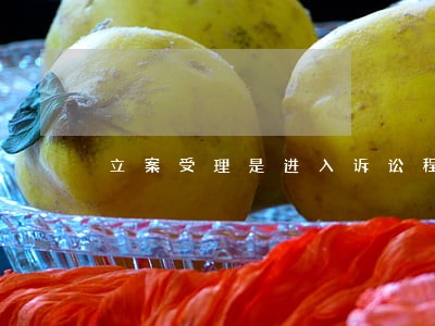 立案受理是进入诉讼程序对吗 立案受理是进入诉讼程序对吗