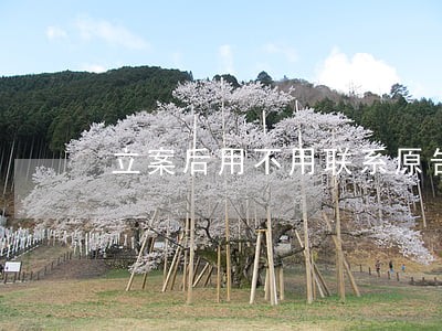 立案后用不用联系原告律师 立案后用不用联系原告律师