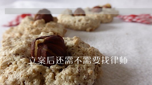 立案后还需不需要找律师 立案后还需不需要找律师