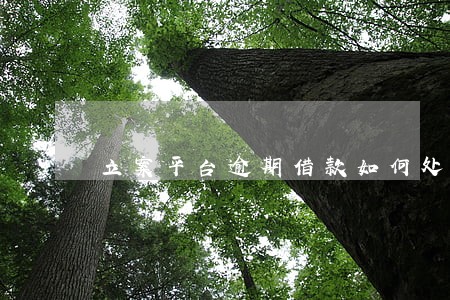 立案平台逾期借款如何处理 立案平台逾期借款如何处理