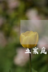 立案庭和法院的区别