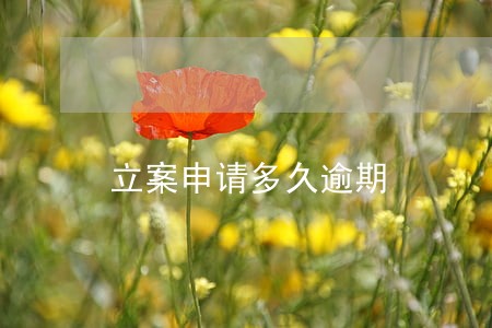 立案申请多久逾期 立案申请多久逾期