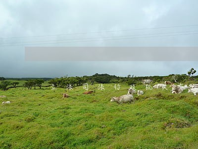 立法司法行政机关有哪些 立法司法行政机关有哪些