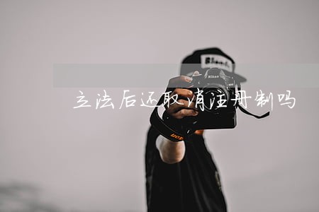 立法后还取消注册制吗
