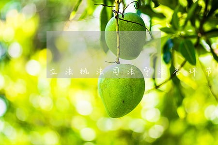 立法执法司法守法各环节发力 立法执法司法守法各环节发力