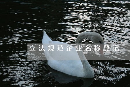 立法规范企业名称登记 立法规范企业名称登记