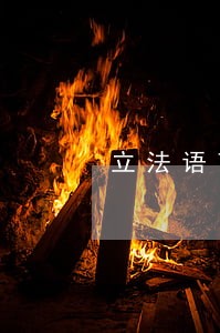 立法语言的模糊性问题