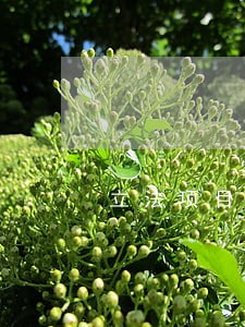 立法项目建议违法建筑 立法项目建议违法建筑