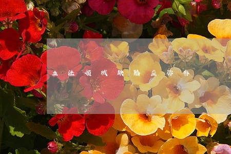 立法领域缺陷应弥补 立法领域缺陷应弥补