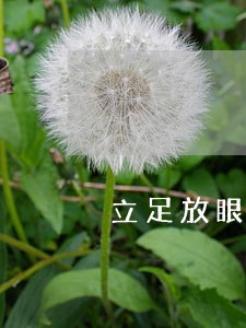 立足放眼世界 立足放眼世界