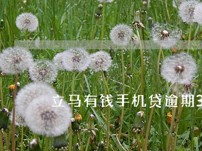 立马有钱手机贷逾期3天 立马有钱手机贷逾期3天