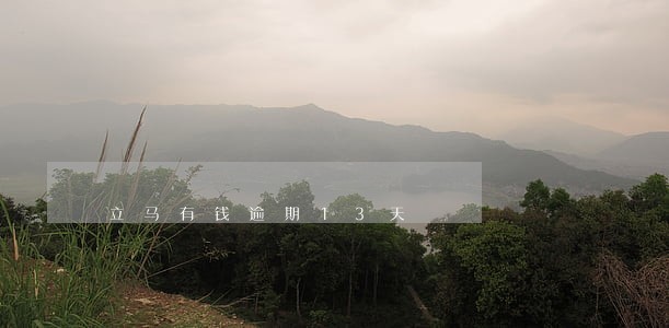 立马有钱逾期13天 立马有钱逾期13天