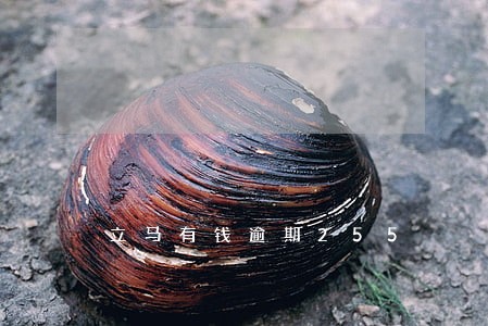 立马有钱逾期255 立马有钱逾期255