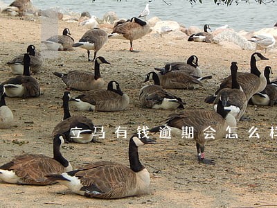 立马有钱逾期会怎么样 立马有钱逾期会怎么样