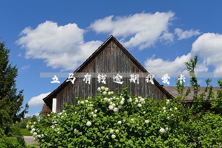 立马有钱逾期我爱卡 立马有钱逾期我爱卡