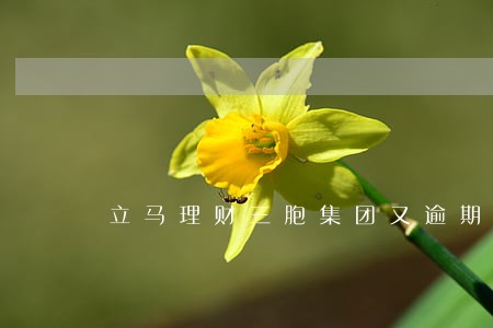 立马理财三胞集团又逾期 立马理财三胞集团又逾期