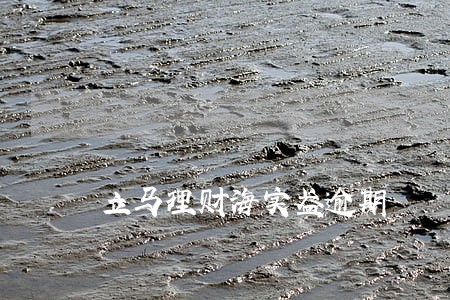 立马理财海实盈逾期 立马理财海实盈逾期