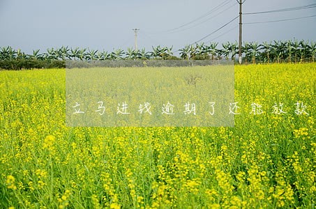 立马进钱逾期了还能放款 立马进钱逾期了还能放款
