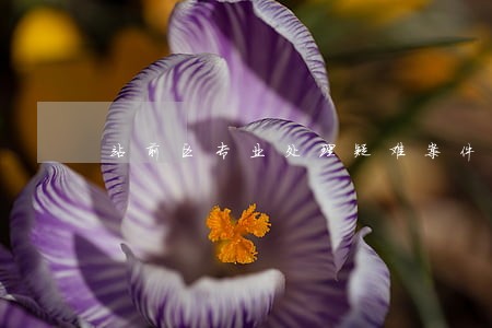 站前区专业处理疑难案件律师 站前区专业处理疑难案件律师