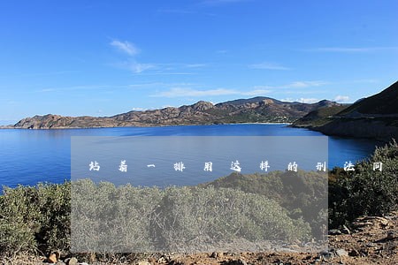 站着一排用这样的刑法同时处决 站着一排用这样的刑法同时处决
