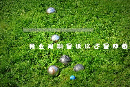 竞业限制是诉讼还是仲裁 竞业限制是诉讼还是仲裁