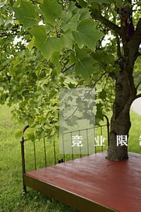 竞业限制法律法规现状说明