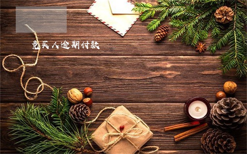 竞买人逾期付款 竞买人逾期付款