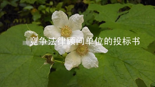 竞争法律顾问单位的投标书 竞争法律顾问单位的投标书