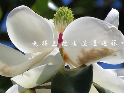 竞得土地违法通过环评审批 竞得土地违法通过环评审批