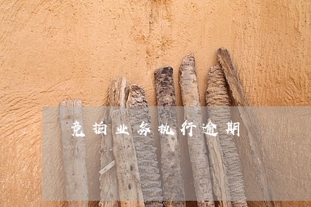 竞拍业务执行逾期 竞拍业务执行逾期