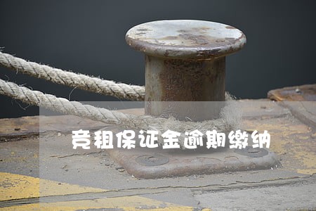 竞租保证金逾期缴纳 竞租保证金逾期缴纳