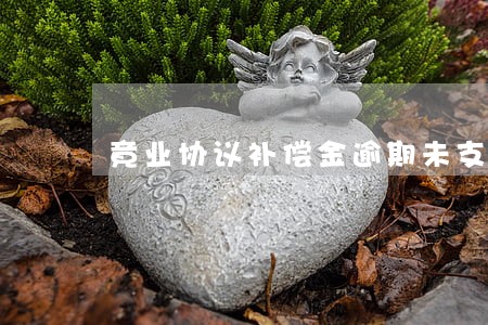 竟业协议补偿金逾期未支付 竟业协议补偿金逾期未支付