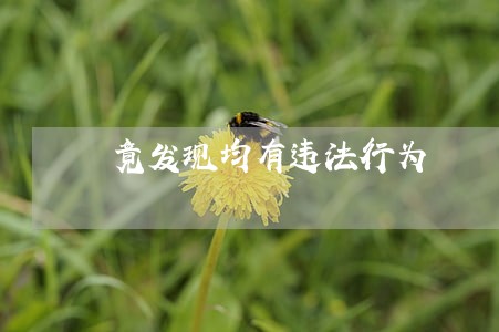 竟发现均有违法行为