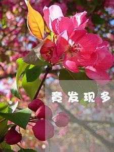 竟发现多名男女从事违法交易 竟发现多名男女从事违法交易