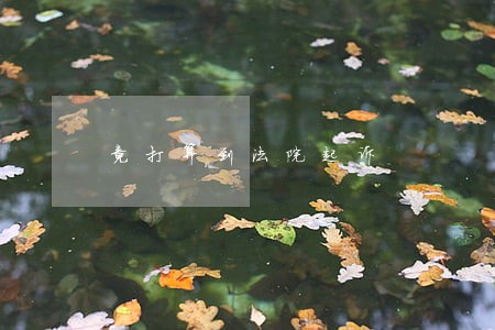 竟打算到法院起诉 竟打算到法院起诉