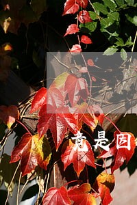 竟是因为不配合法院执行 竟是因为不配合法院执行