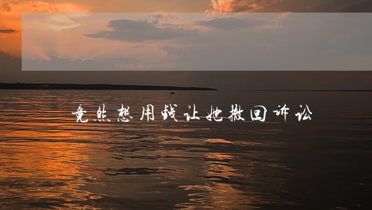 竟然想用钱让她撤回诉讼