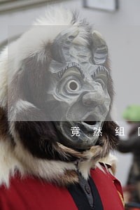 竟然组团违法交通规则 竟然组团违法交通规则