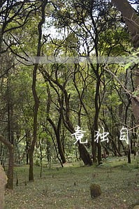 竟独自一人到县城做违法勾当 竟独自一人到县城做违法勾当