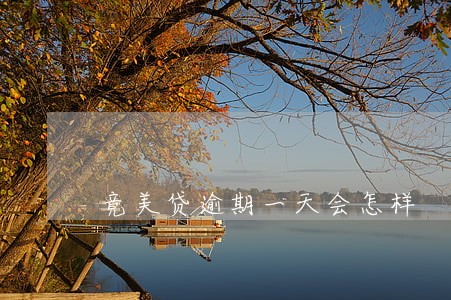 竟美贷逾期一天会怎样