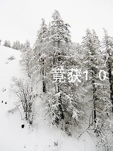 竟获1076位律师支持
